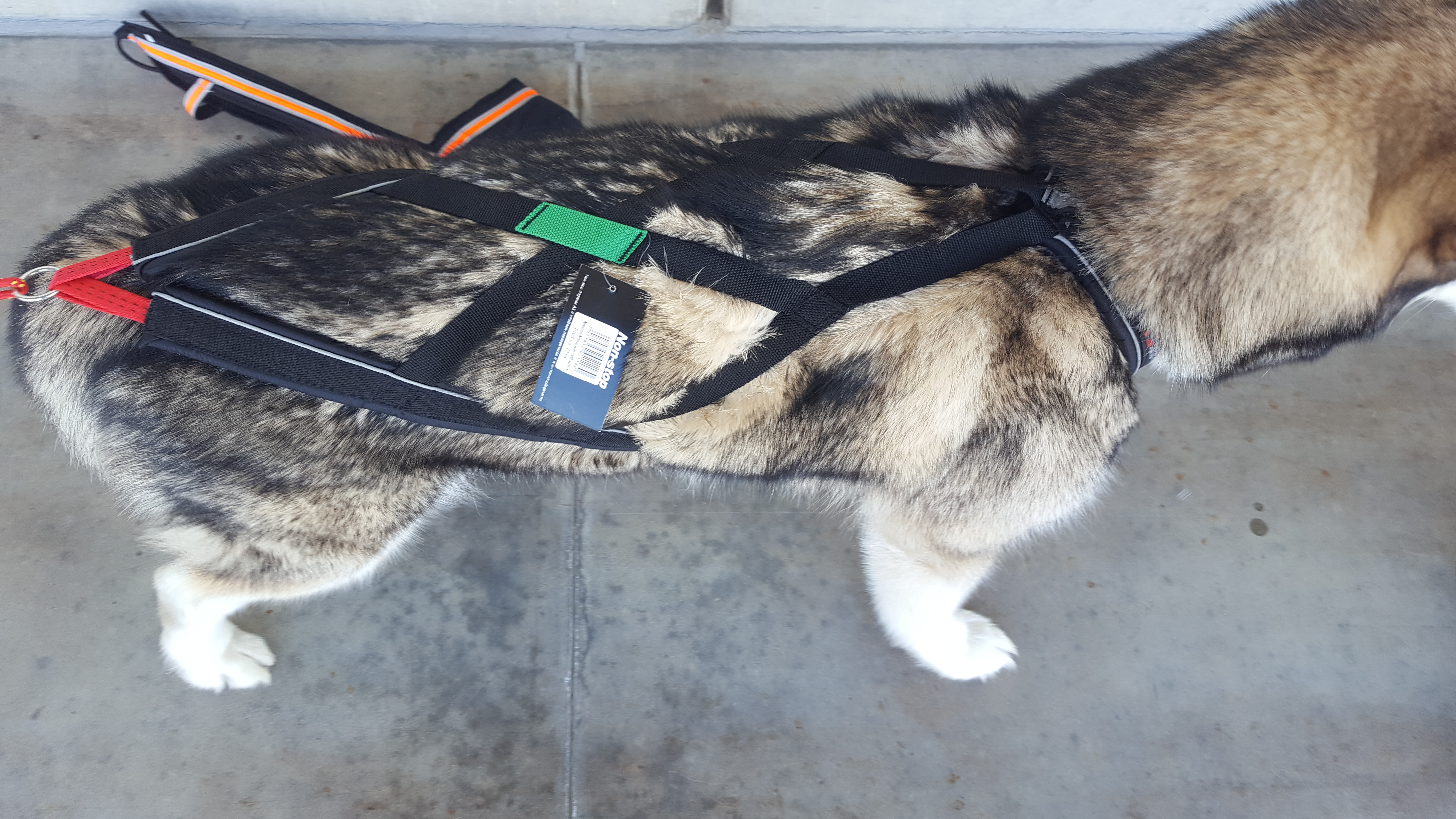 Non-Stop Nansen Nome X-Back Geschirr für Zughunde