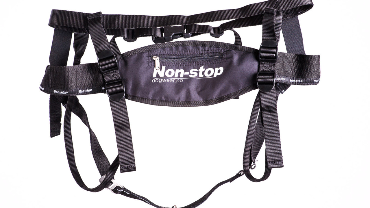 Running Belt Non-Stop Dogwear für Canicross Laufen und Joggen